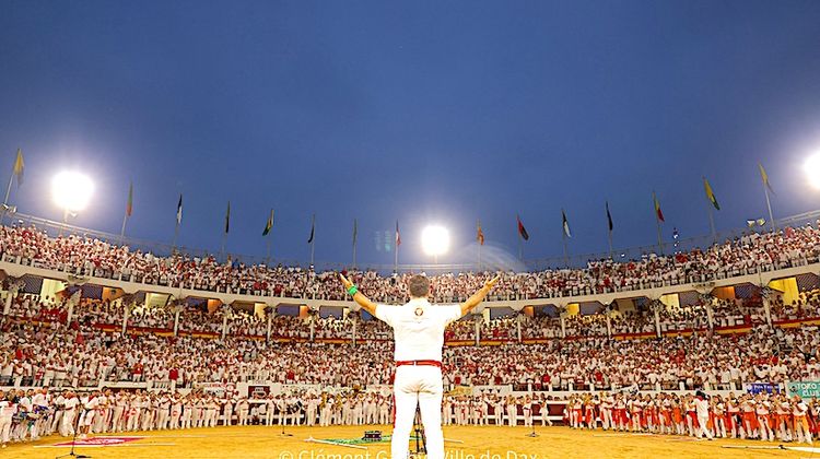 CORRIDAS À DAX – Les 7 élevages retenus pour la prochaine temporada